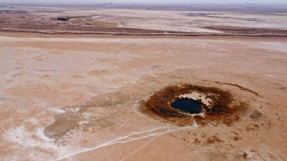 Overuse and climate change kill off Iraq's Sawa Lake