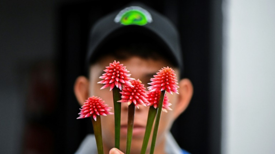 Colombia's Inirida flower: from 'weed' to emblem for UN meeting