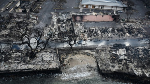 Residents return to find homes in ruin from Hawaii fire