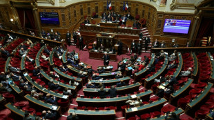 Le budget au Sénat, dernières heures apaisées pour un gouvernement en sursis