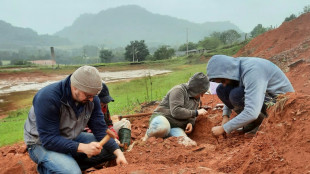 Hallan fósil de dinosaurio de 230 millones de años tras lluvias en sur de Brasil