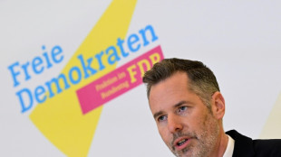 FDP will Einigung zu Migration vor der Wahl - CDU sieht "Wahlkampftaktik"