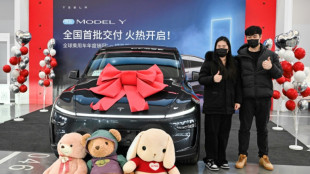 'No need to overthink': China Tesla fans unfazed by Musk politics