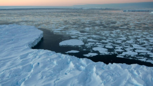 Globales Meereis schrumpft auf Rekordtief - Februar erneut außergewöhnlich warm