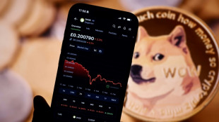 "Comme au loto": au-delà du bitcoin, des investissements crypto ultra-risqués