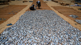 Aquaculture drives aquatic food yields to new high