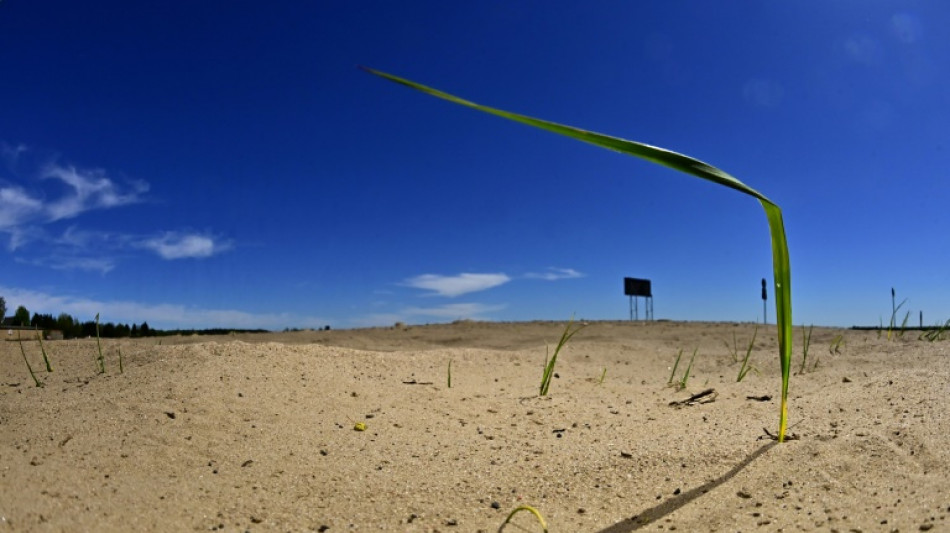 PIK-Forscherin Wendt drängt zum Handeln gegen Gesundheitsrisiken durch Klimawandel