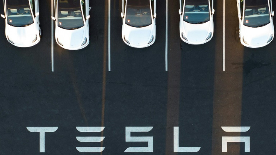 Racisme et discriminations: l'envers du décor de l'usine californienne de Tesla