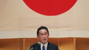 Defence deal on the menu as UK rolls out red carpet for Japan's Kishida