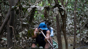 Indigenous team scours remote Amazon for missing Phillips and Pereira