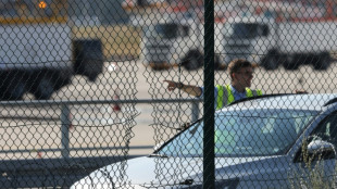 Climate activists halt traffic at Frankfurt airport