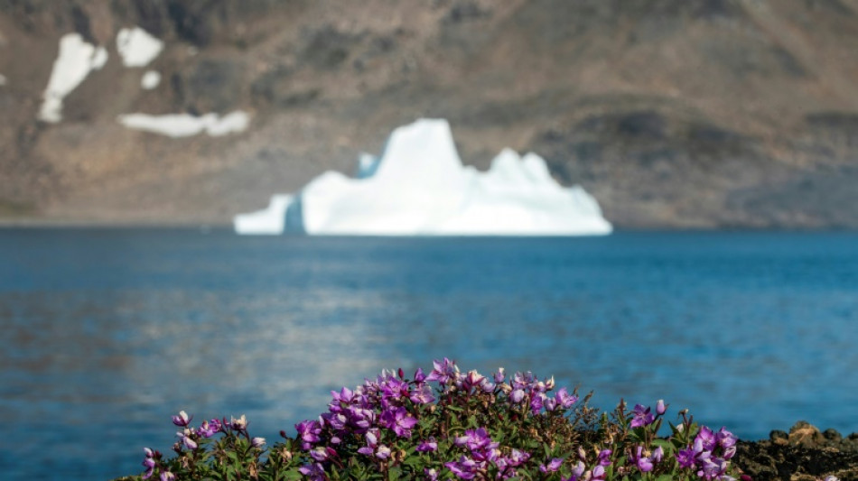 Une étude confirme que le Groenland était dépourvu de glace dans un passé pas si lointain