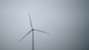 La France lance l'éolien en mer Méditerranée