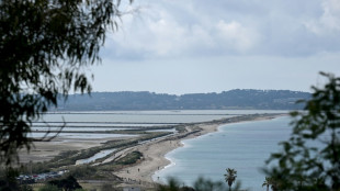 Sur la presqu'île de Giens, un projet contesté de digue pour protéger les salins de l'érosion