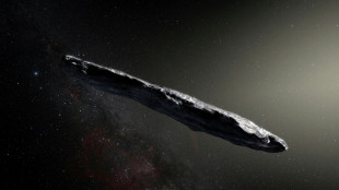 La visite de l'étrange objet interstellaire "Oumuamua" trouve une explication 