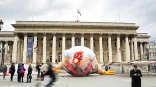 Contre l'élevage intensif, L214 déploie des poulets martyrs géants dans Paris