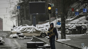 Les "saboteurs", l'ennemi russe infiltré qui hante l'Ukraine