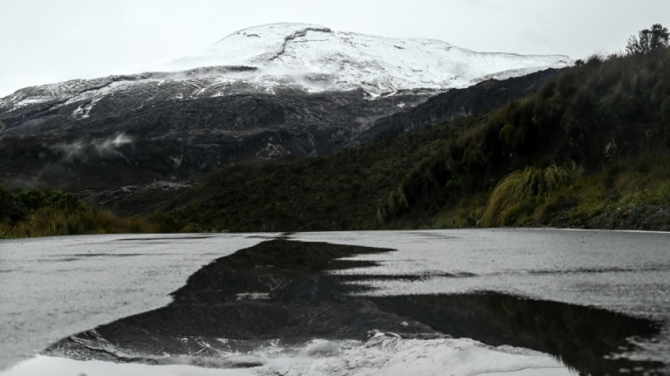 Colombia ha perdido más de la mitad de sus glaciares, alerta ONG