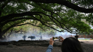 En Chine, un village touristique met en scène la nostalgie paysanne