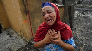 'Tornado of fire': Algeria forest blazes kill 38