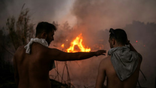 Grécia aguarda ajuda europeia para conter grande incêndio perto de Atenas