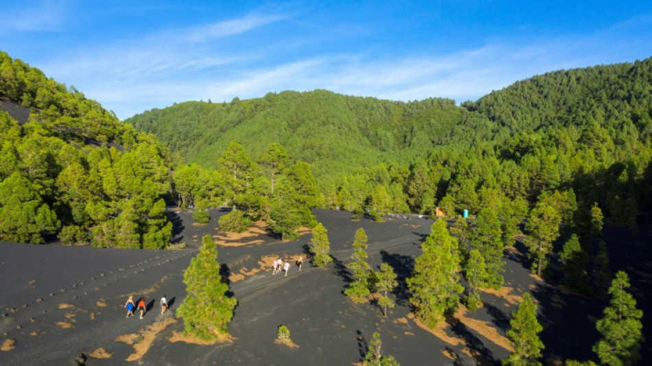 "Comme une nouvelle planète": le volcan de La Palma attire les touristes