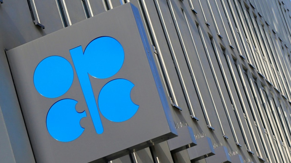 OPEC+ walks 'fine line' between US and Russia