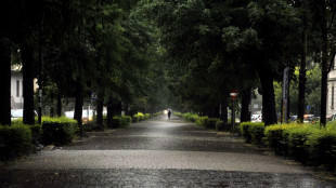 Gli alberi sbagliati possono riscaldare le città di notte