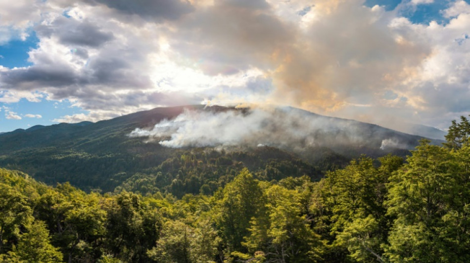 Ministra argentina responsabiliza grupo mapuche por incêndios na Patagônia