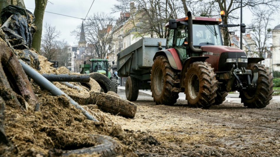 Bauern protestieren in Frankreich und Großbritannien 