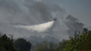 Grèce: les feux de forêt font rage, un mort dans le centre du pays