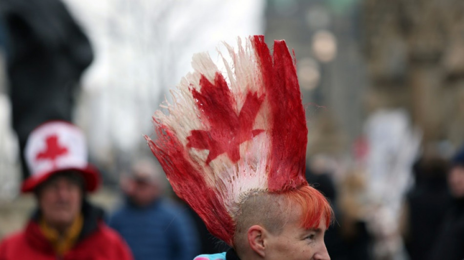 State of emergency in Canada's Ontario over 'illegal' trucker protest