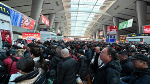 China travel peaks as millions head home for Lunar New Year